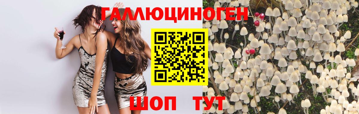 Галлюциногенные грибы GOLDEN TEACHER Киселёвск