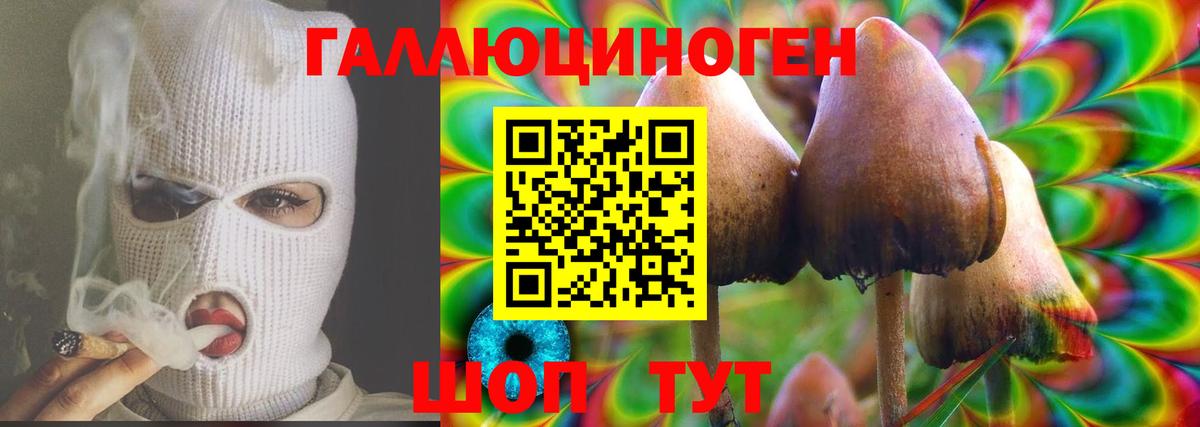 Киселёвск  Галлюциногенные грибы мицелий  Вход с VPN  Галлюциногенные грибы Magic Shrooms 